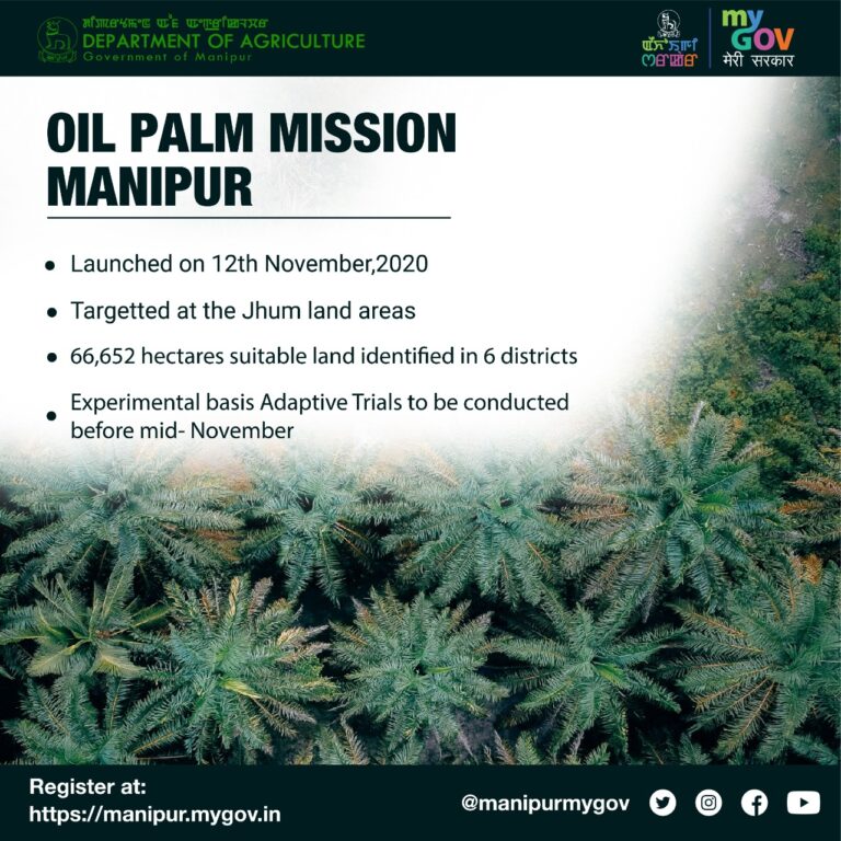 Manipur | The launch of Oil Palm Project – KRC TIMES